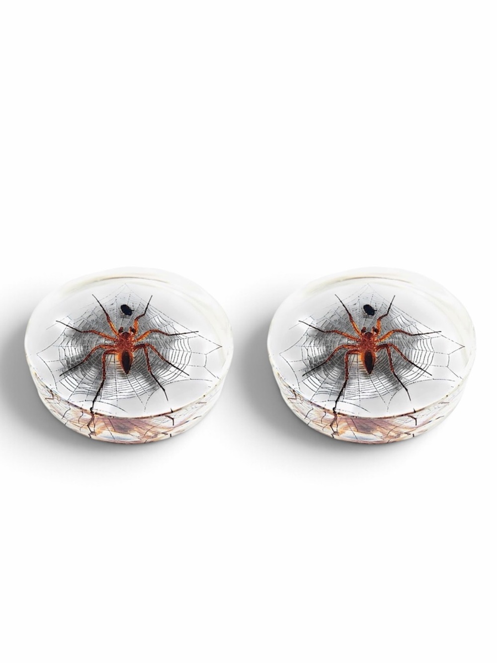 Spider in Clear Resin Cube Halloween Oddities Decor Coaster Goth Set of 2 FCT